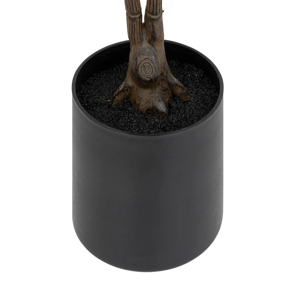 Agnolia artificielle