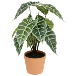 Alocasia artificiel