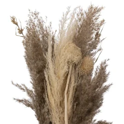 Bouquet de pampas séchées "Ori"