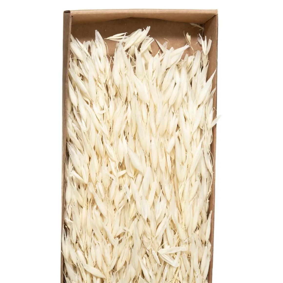 Bouquet fleurs séchées