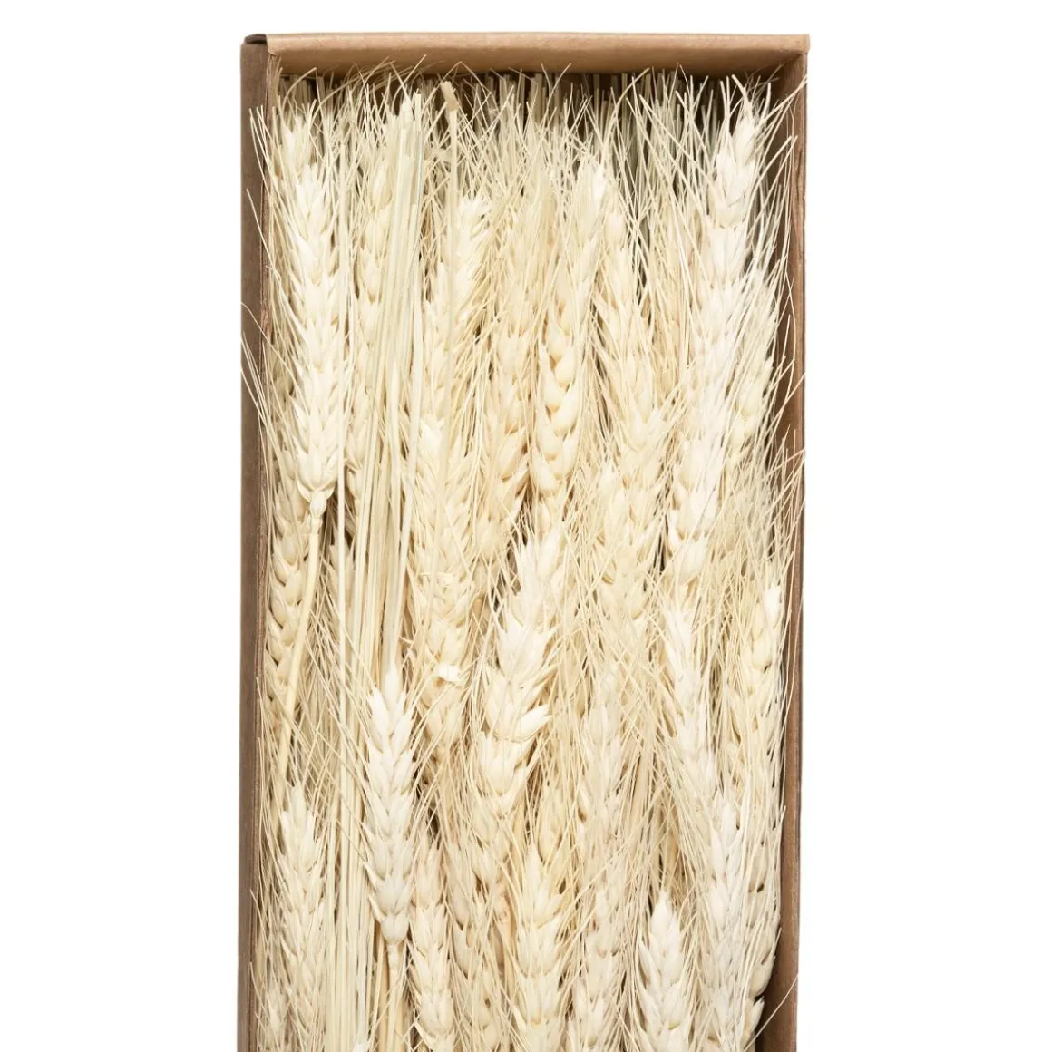 Bouquet fleurs séchées