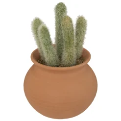 Cactus artificiel "Ali", H16,5 cm