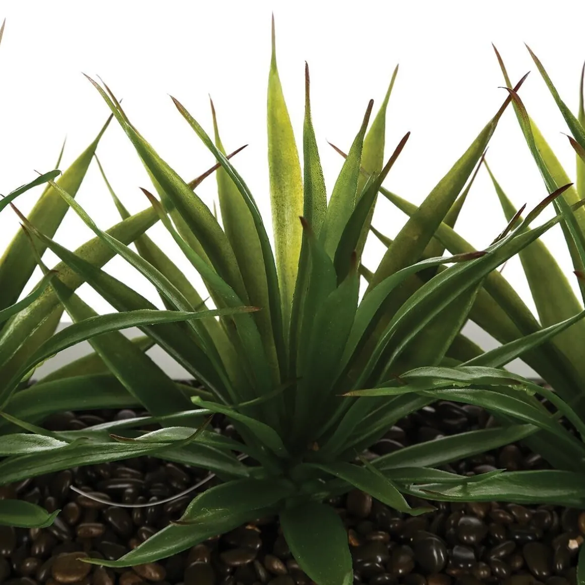 Centre de table 3 aloe vera artificielle