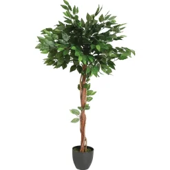 Ficus artificiel