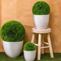 Lot de 3 pots "Vena"