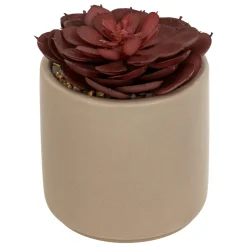 Plante grasse artificielle "Nils"