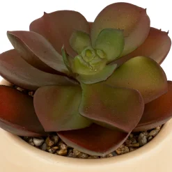 Plante grasse artificielle 