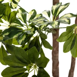 Schefflera artificiel