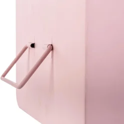 Set de 2 cantines enfant