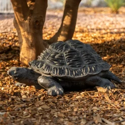 Statuette d'exterieur Tortue "Francky"