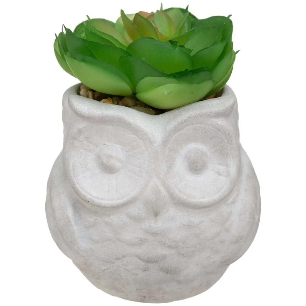 Succulente artificielle