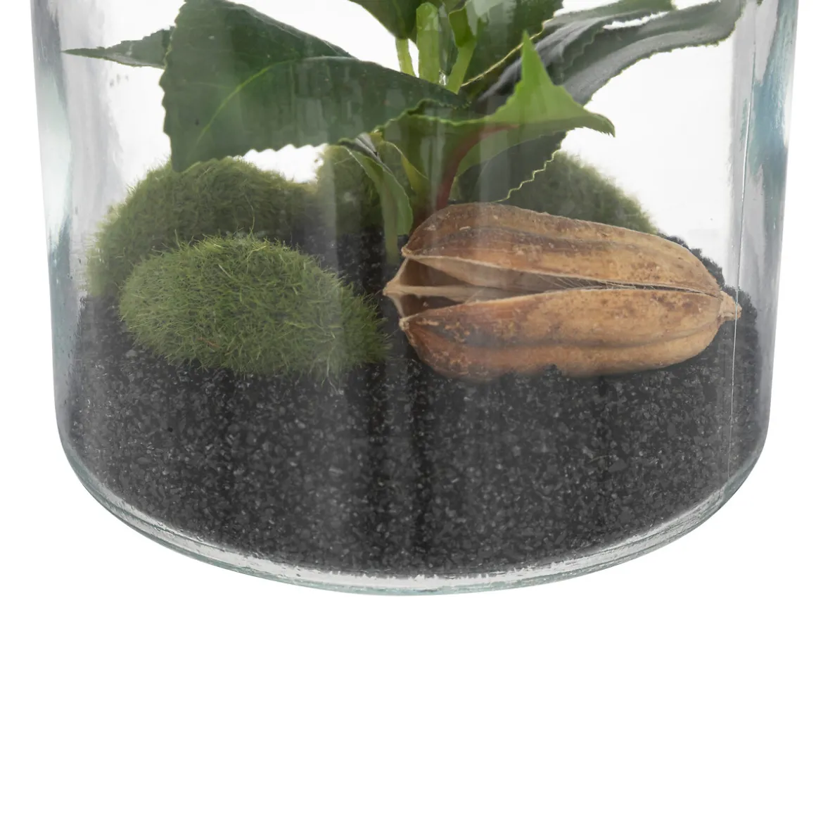 Terrarium "Bota", verre