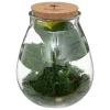 Terrarium "Bota", verre