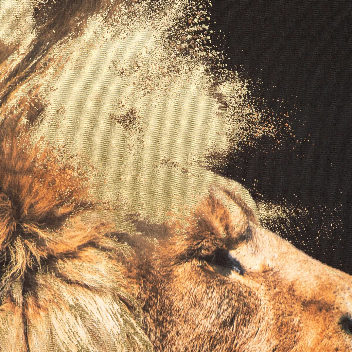 Toile encadrée "Animaux"