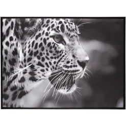 Toile encadrée "Animaux"