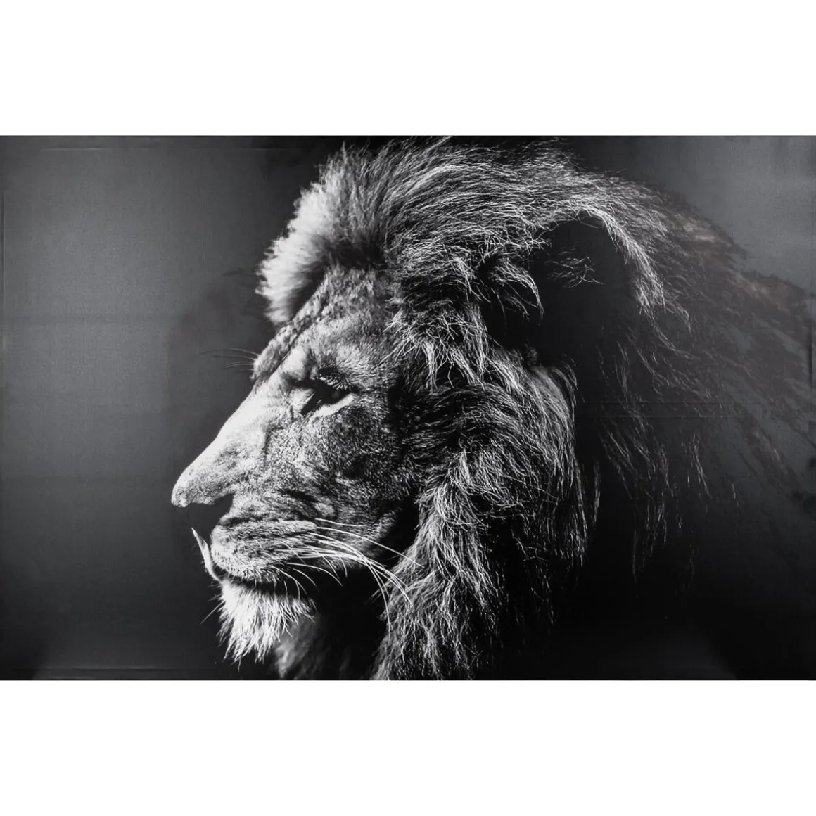 Toile imprimée "Animaux"