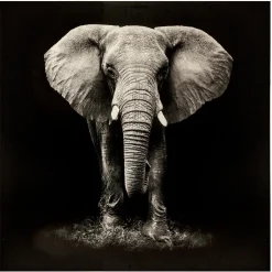 Toile imprimée "Animaux"