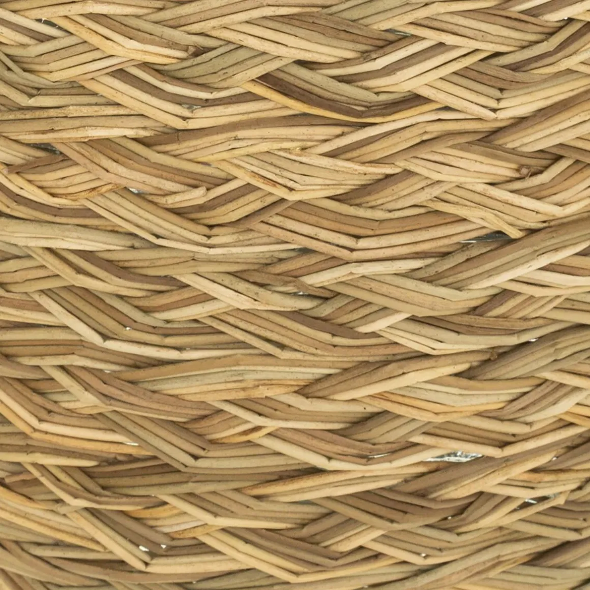 Vase Dame Jeanne "Cuba"